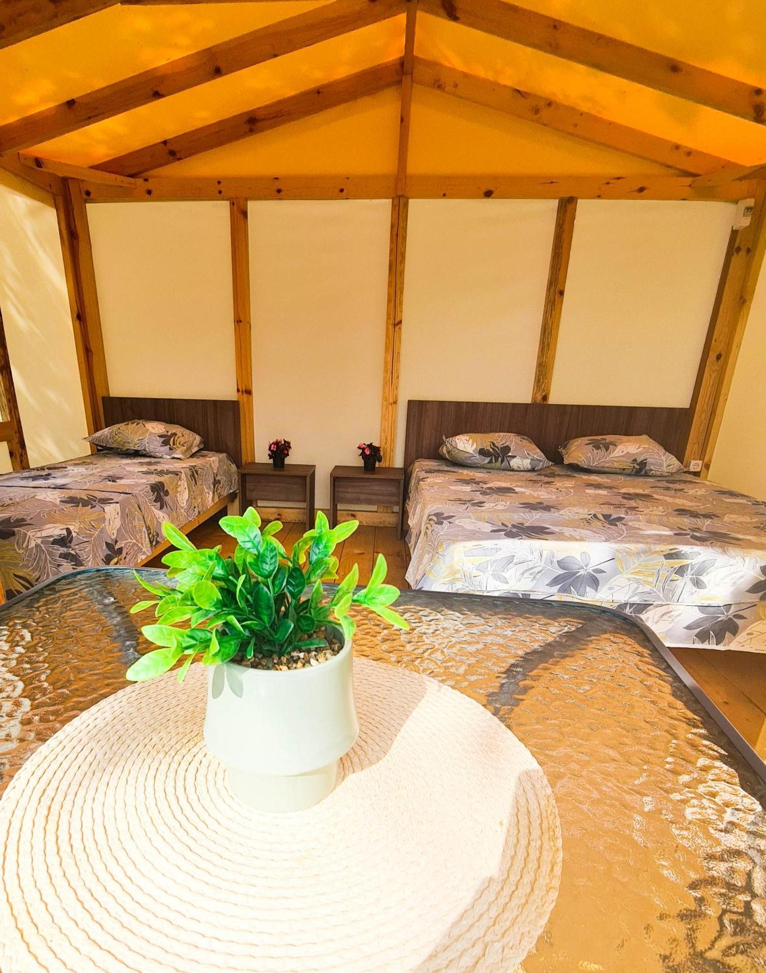 فندق Divoto Glamping بالشيك المظهر الخارجي الصورة